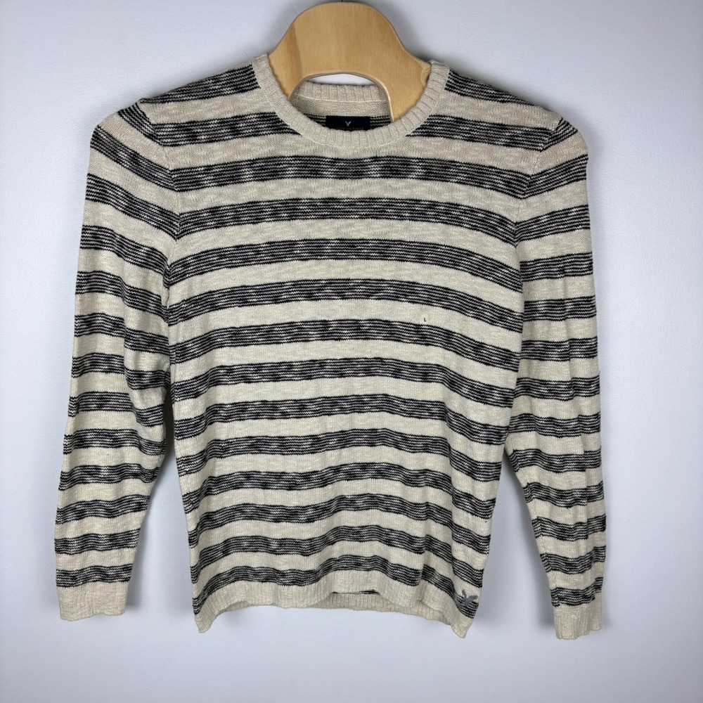 American Eagle Outfitters Mens Striped Crew Neck Sweater‎ Knit Pullover Size L